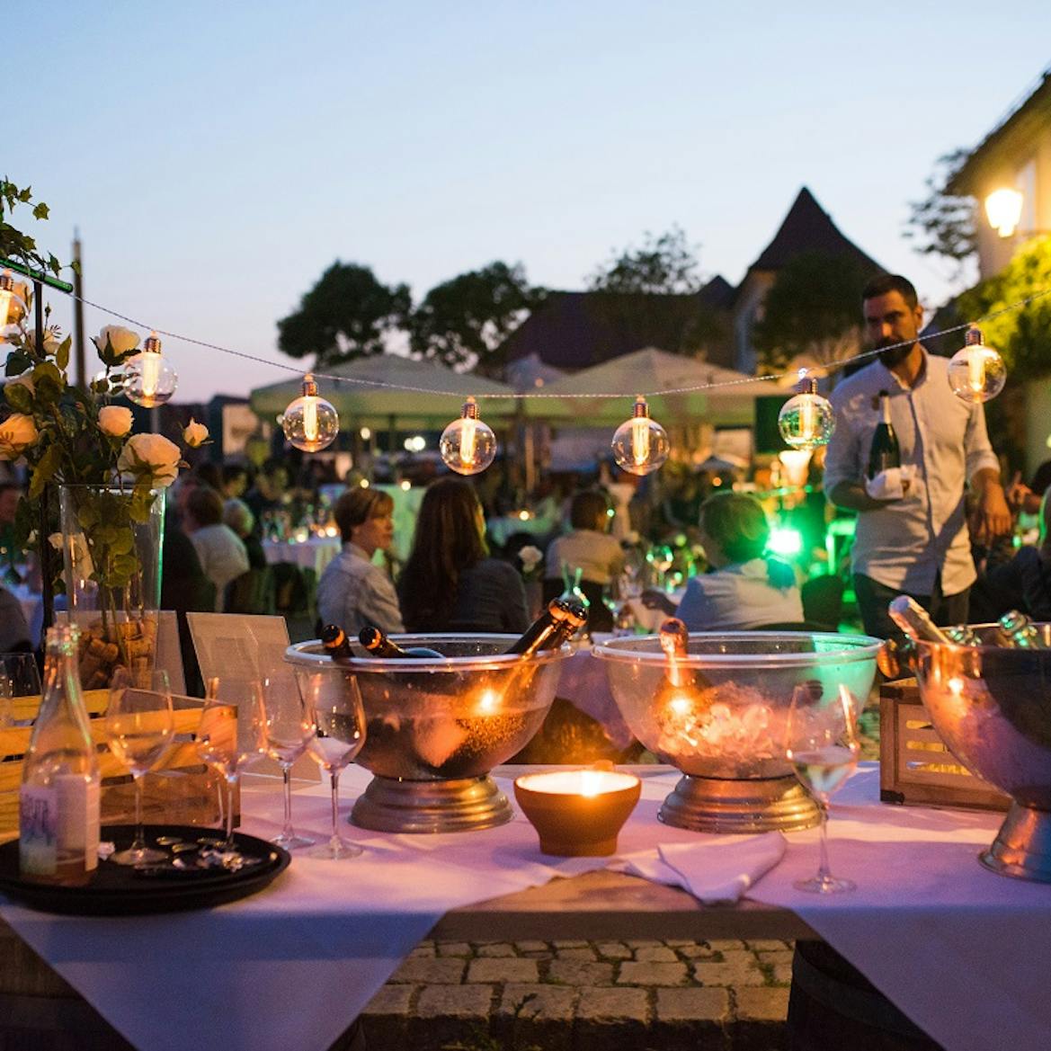 Maribor - The Old Vine House